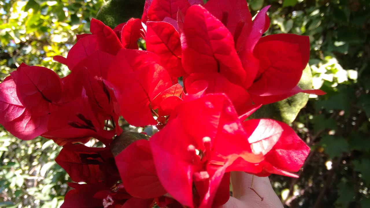 WhatsApp Image 2020-04-25 at 14.53.14